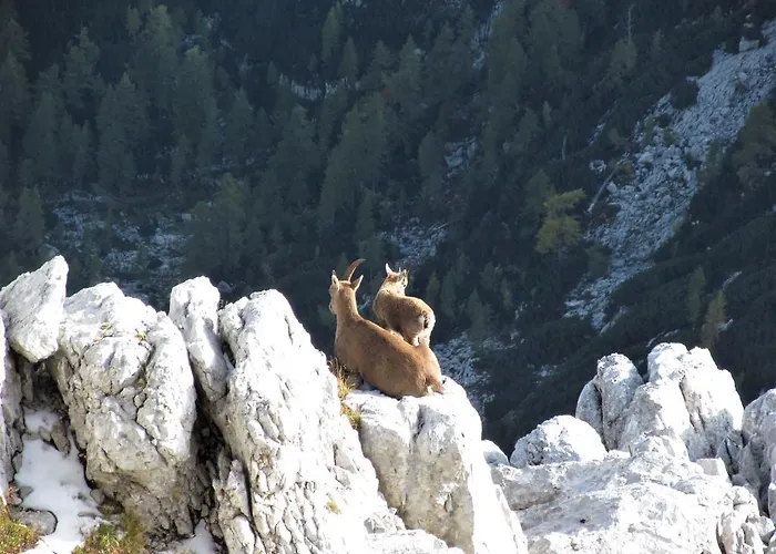 Julian Alps Lägenhet Bovec
